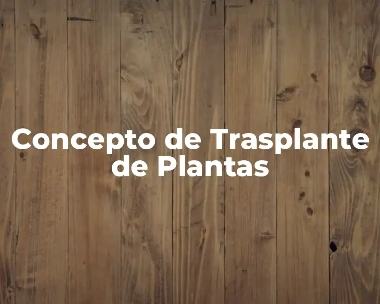 Concepto de Trasplante de Plantas