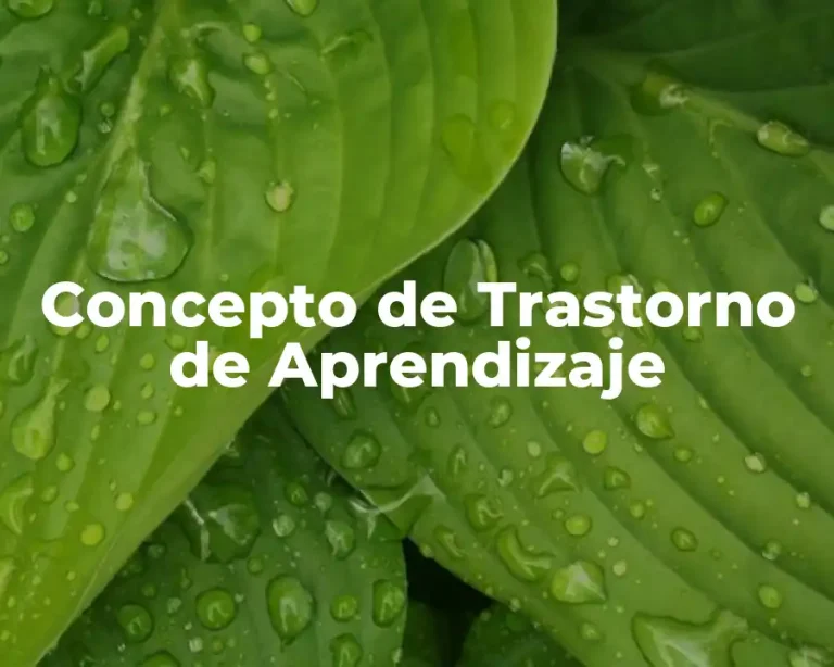 Concepto de Trastorno de Aprendizaje