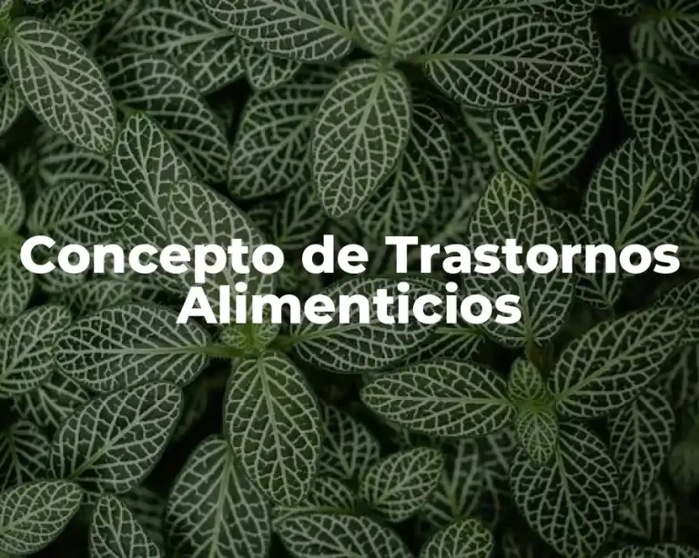 Concepto de Trastornos Alimenticios