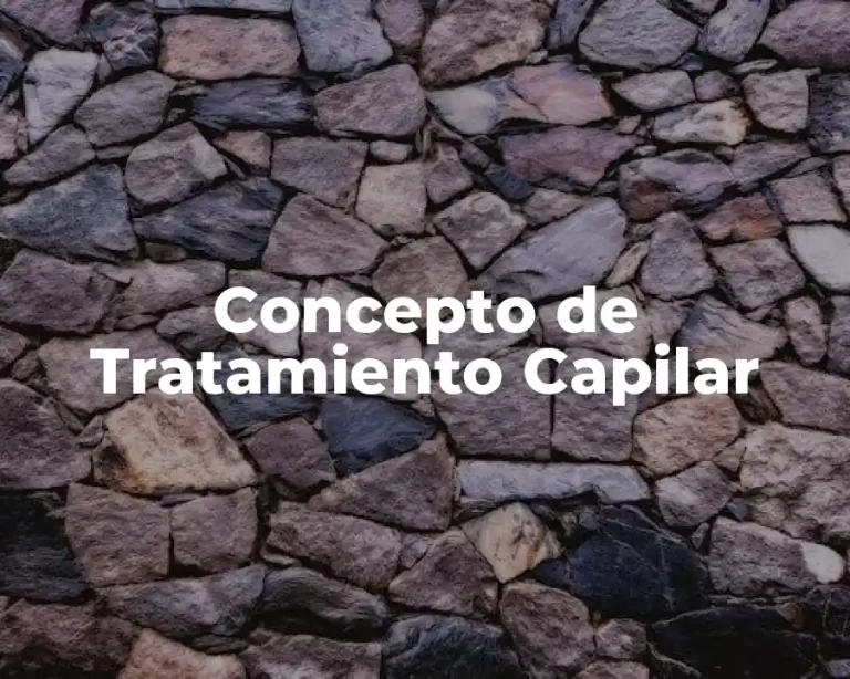 Concepto de Tratamiento Capilar