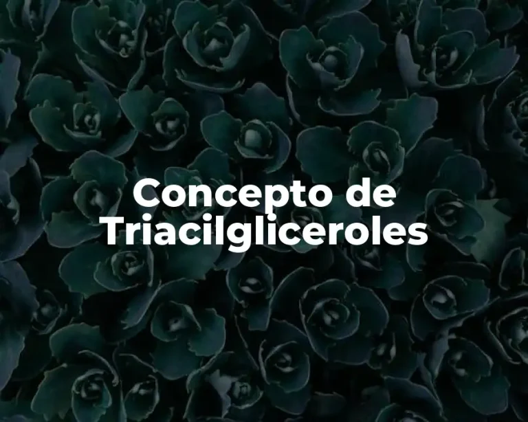 Concepto de Triacilgliceroles