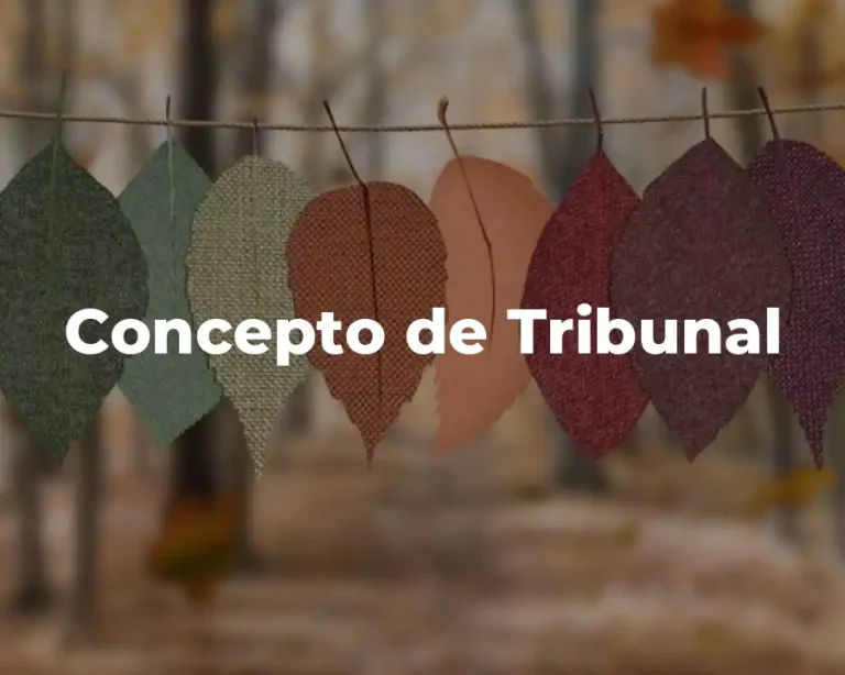 Concepto de Tribunal