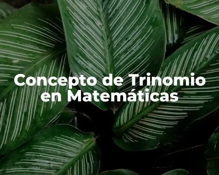 Concepto de Trinomio en Matemáticas