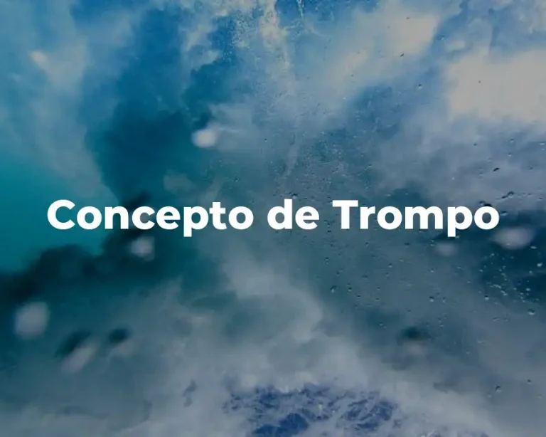 Concepto de Trompo