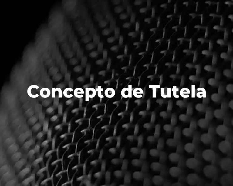 Concepto de Tutela