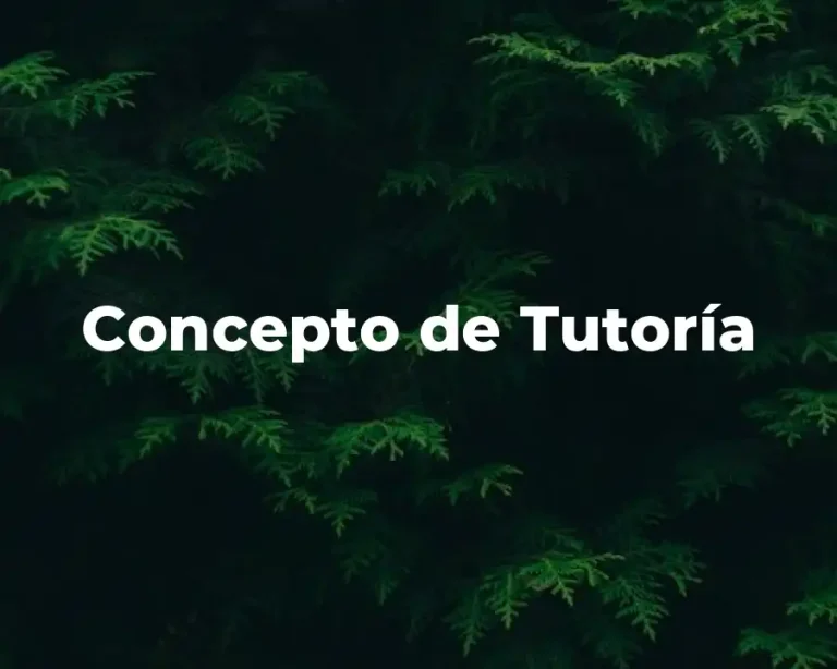 Concepto de Tutoría