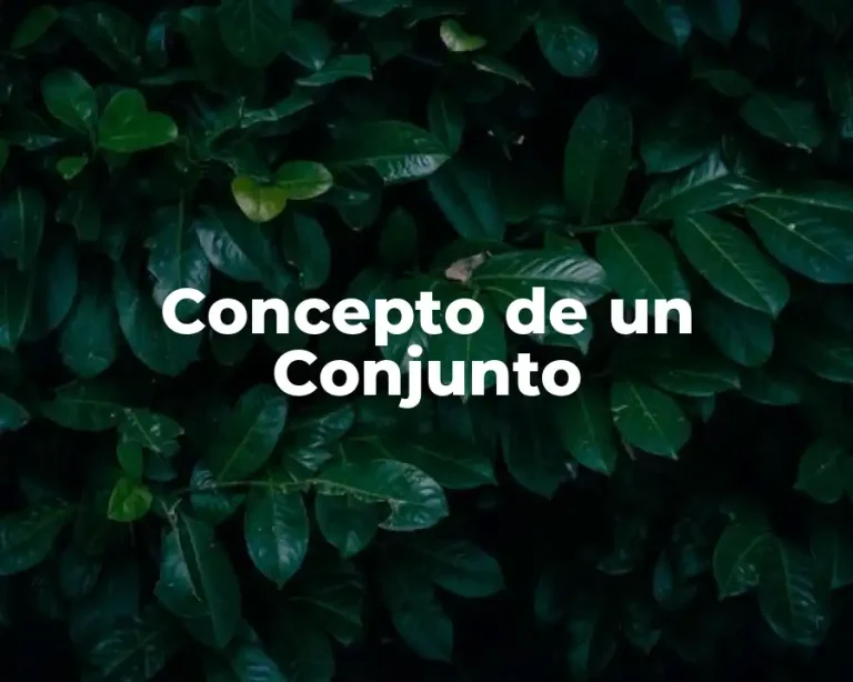 Concepto de un Conjunto