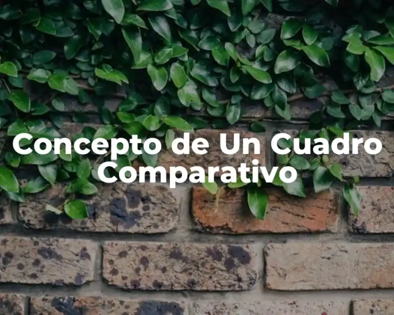 Concepto de Un Cuadro Comparativo