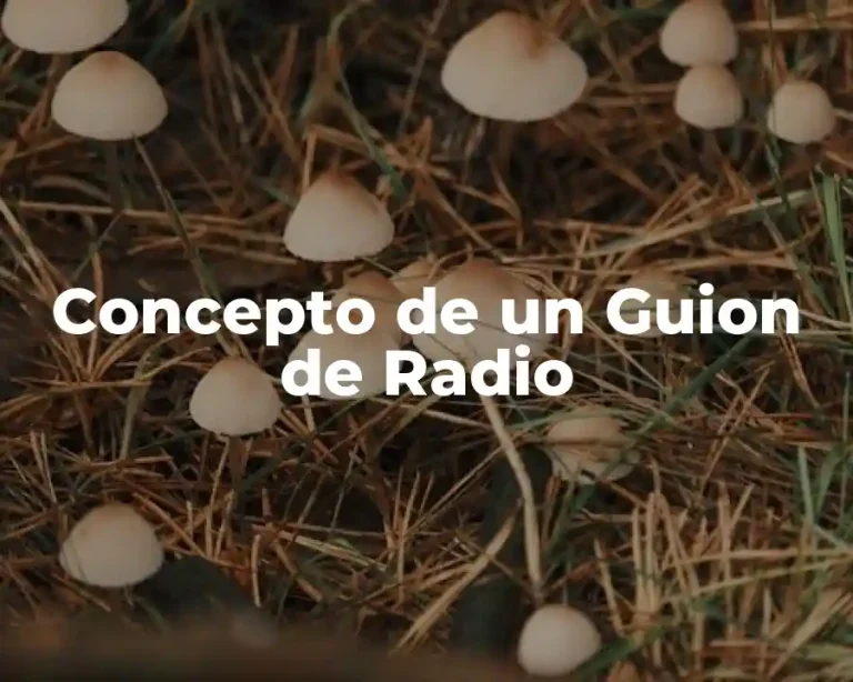 Concepto de un Guion de Radio