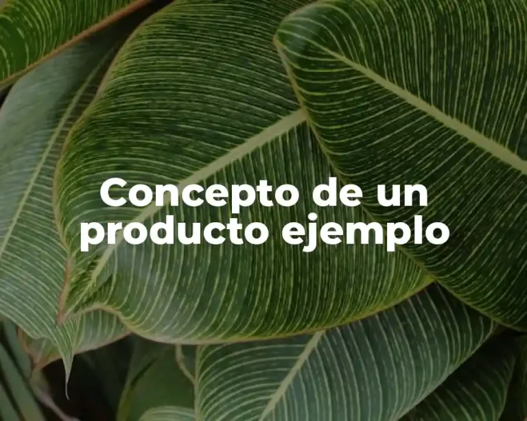Concepto de un producto ejemplo