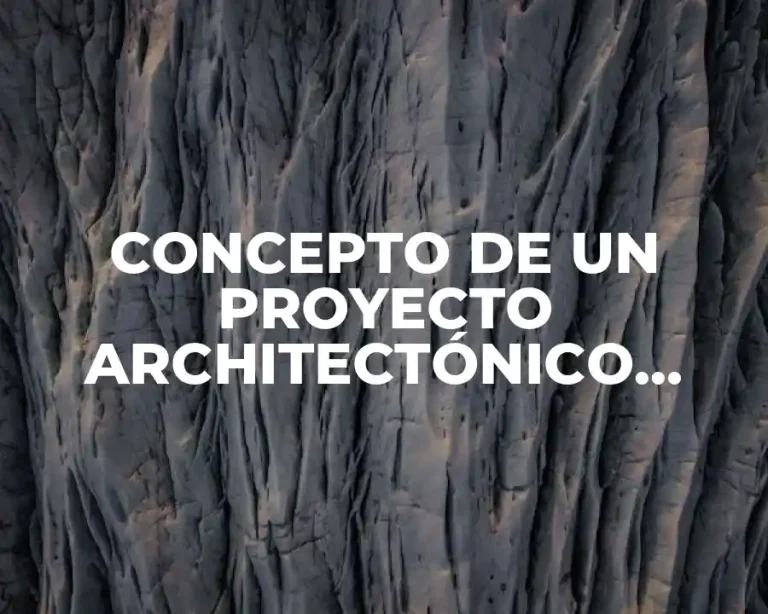 CONCEPTO DE UN PROYECTO ARCHITECTÓNICO EJEMPLO