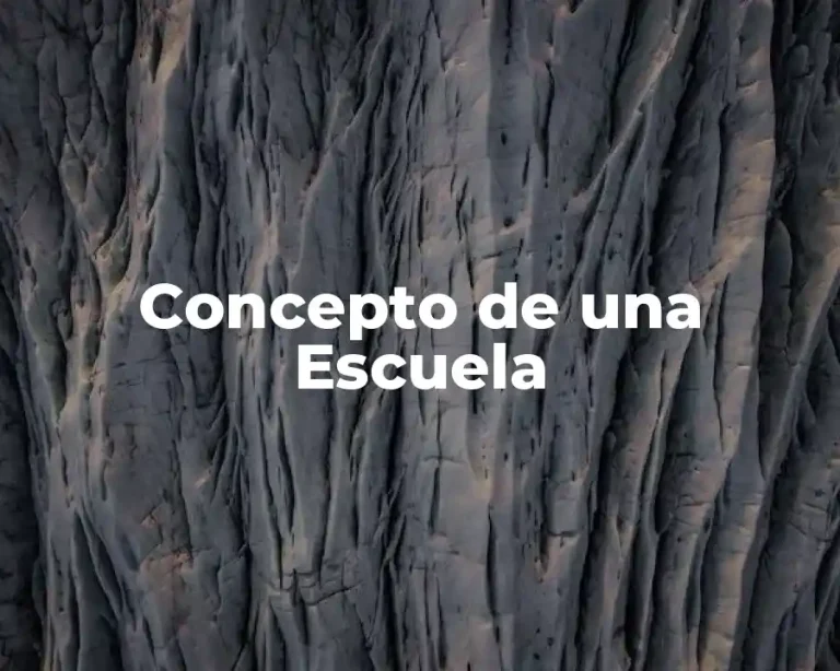 Concepto de una Escuela