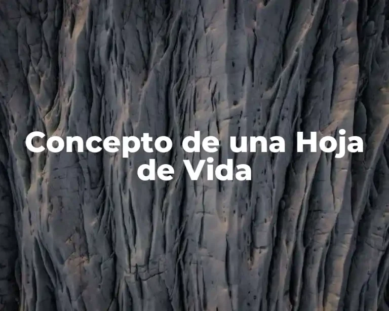 Concepto de una Hoja de Vida