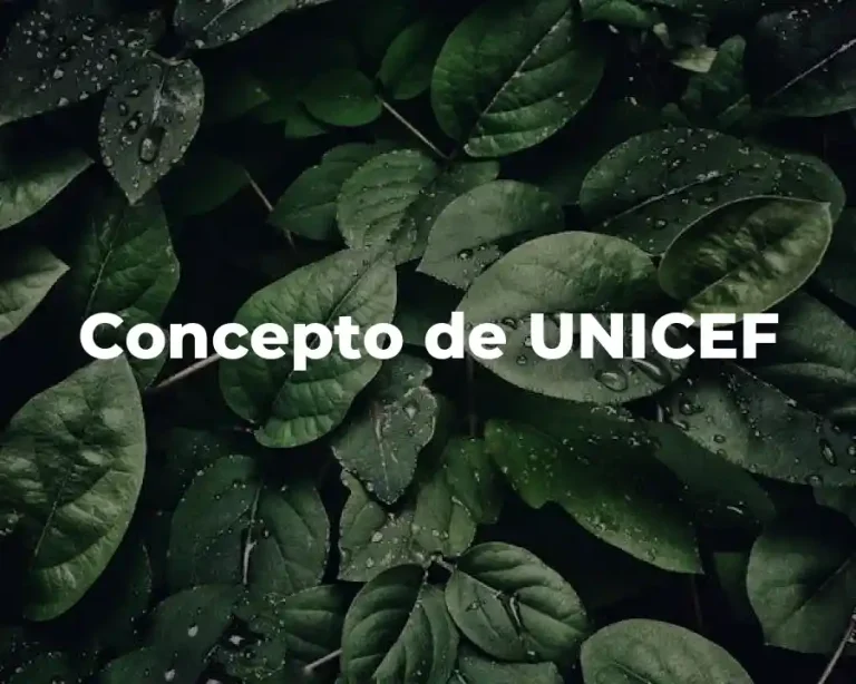 Concepto de UNICEF