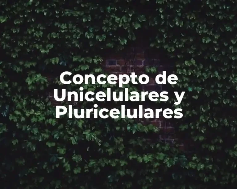 Concepto de Unicelulares y Pluricelulares