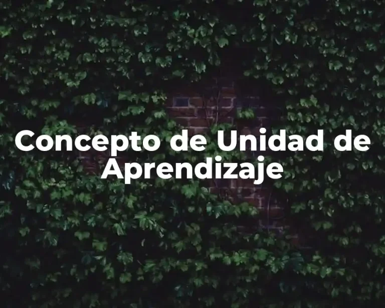 Concepto de Unidad de Aprendizaje