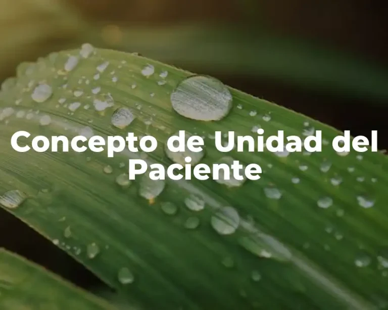 Concepto de Unidad del Paciente