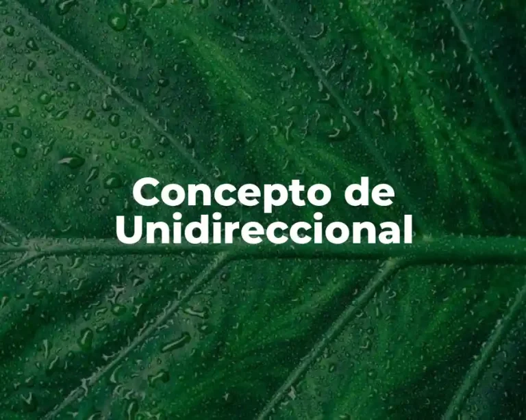 Concepto de Unidireccional