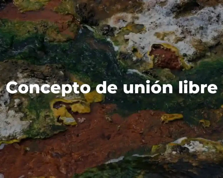 Concepto de unión libre