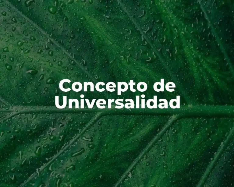 Concepto de Universalidad