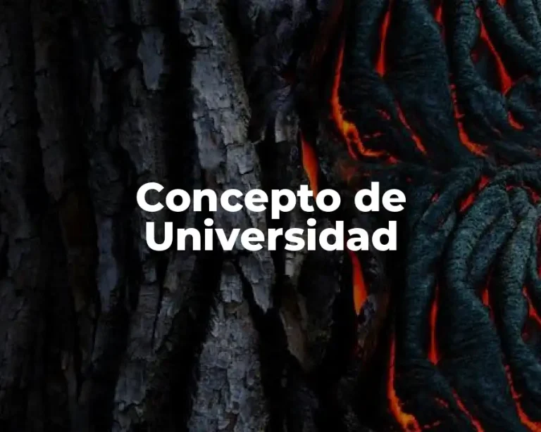 Concepto de Universidad
