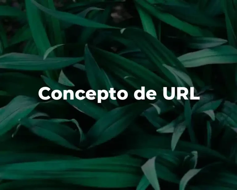 Concepto de URL