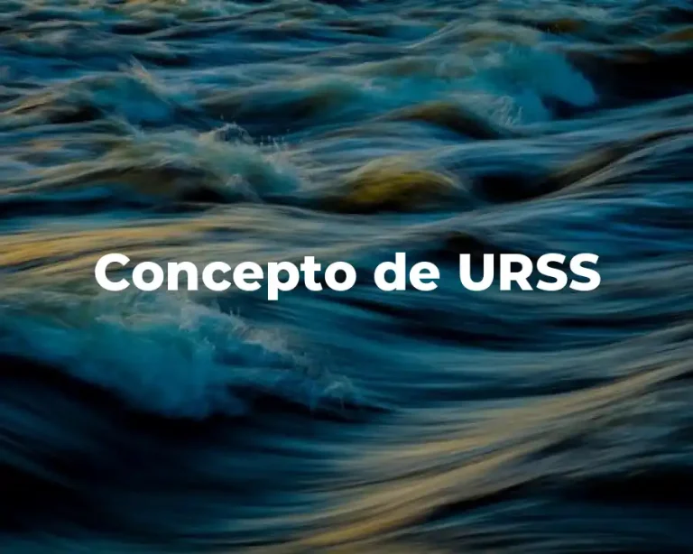 Concepto de URSS