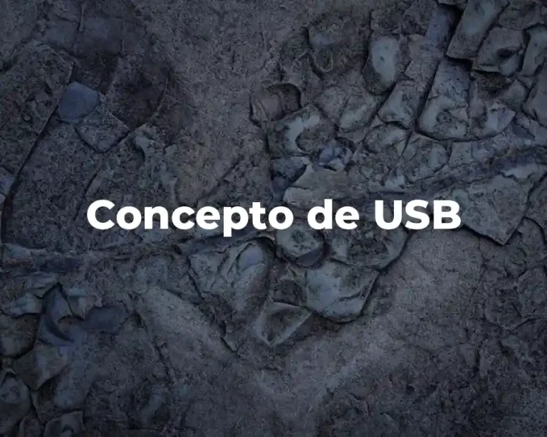Concepto de USB
