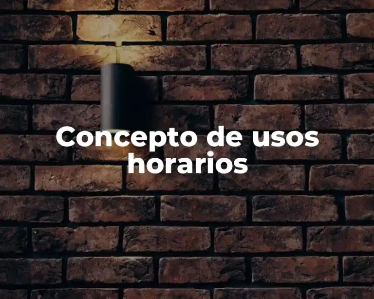 Concepto de usos horarios