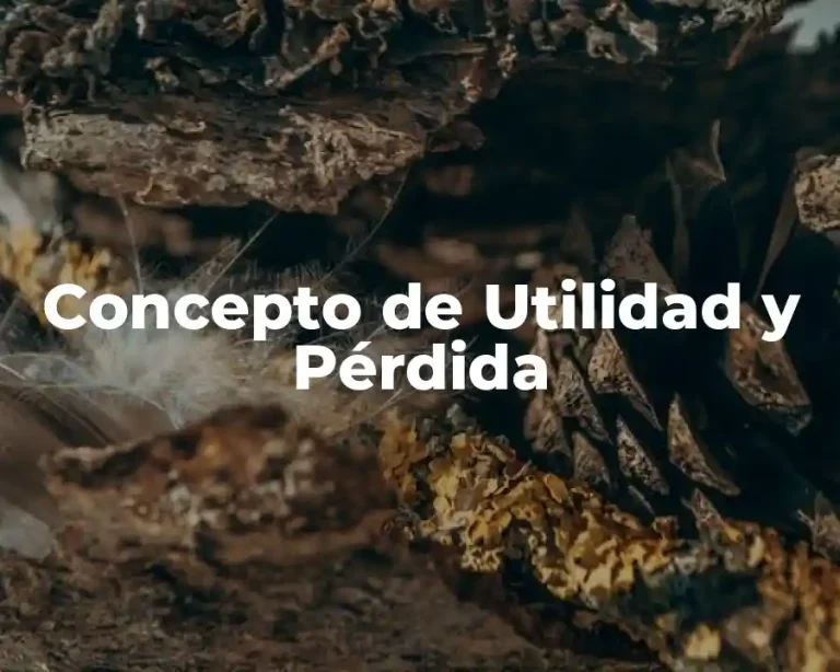 Concepto de Utilidad y Pérdida