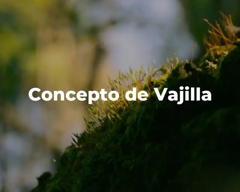 Concepto de Vajilla