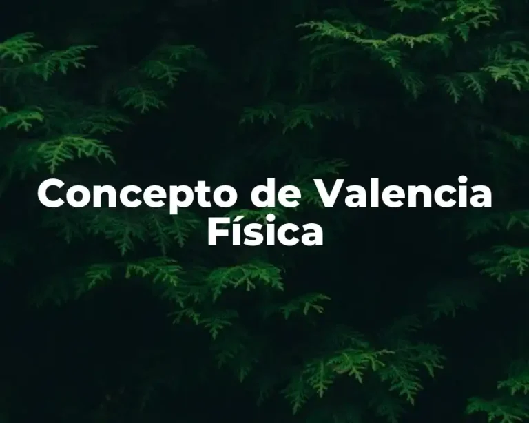 Concepto de Valencia Física