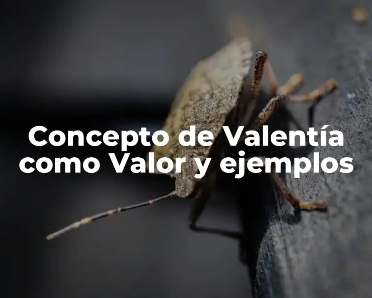 Concepto de Valentía como Valor y ejemplos