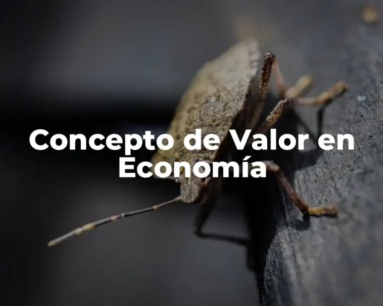 Concepto de Valor en Economía