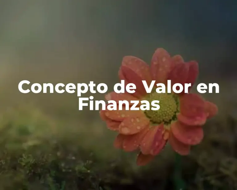 Concepto de Valor en Finanzas