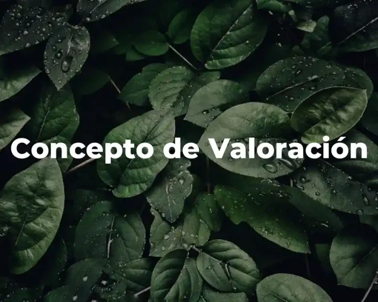 Concepto de Valoración