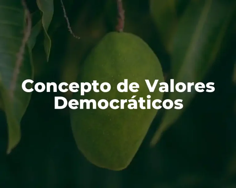 Concepto de Valores Democráticos