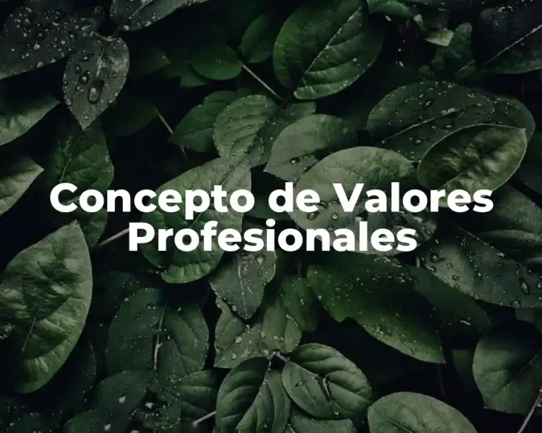 Concepto de Valores Profesionales