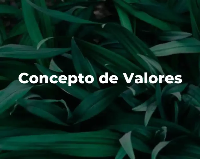 Concepto de Valores
