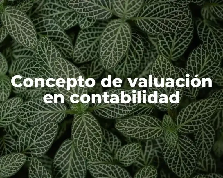 Concepto de valuación en contabilidad
