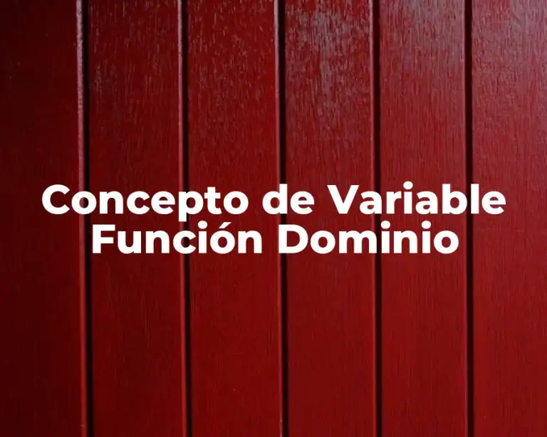 Concepto de Variable Función Dominio