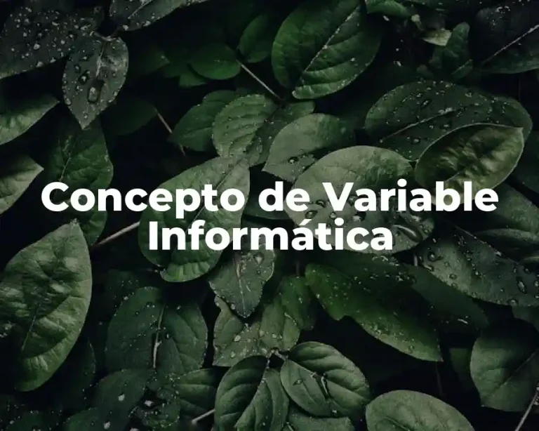 Concepto de Variable Informática