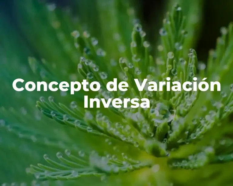 Concepto de Variación Inversa