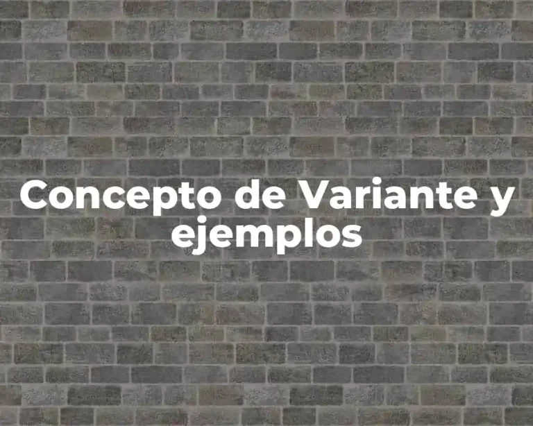 Concepto de Variante y ejemplos