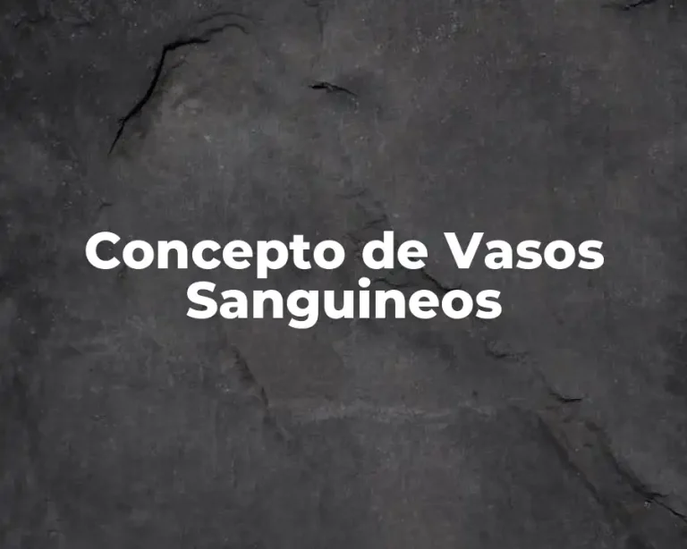 Concepto de Vasos Sanguineos