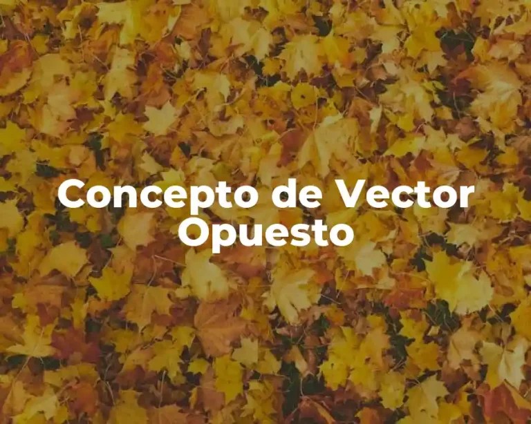 Concepto de Vector Opuesto