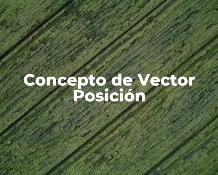 Concepto de Vector Posición
