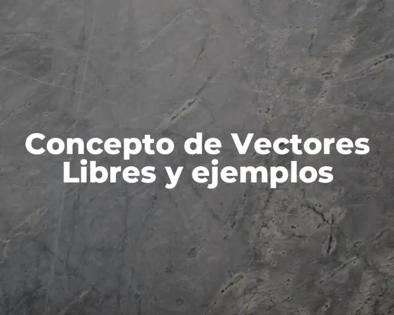 Concepto de Vectores Libres y ejemplos
