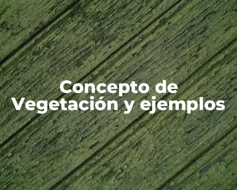 Concepto de Vegetación y ejemplos