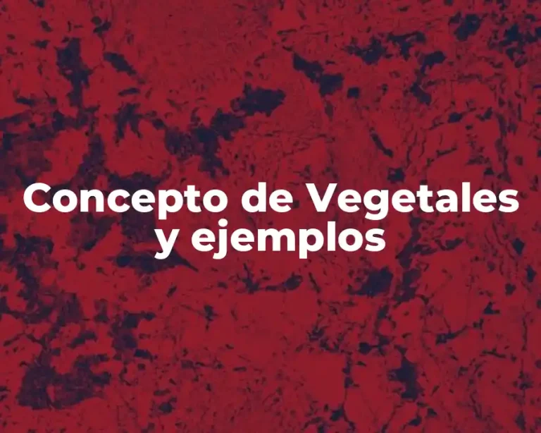 Concepto de Vegetales y ejemplos
